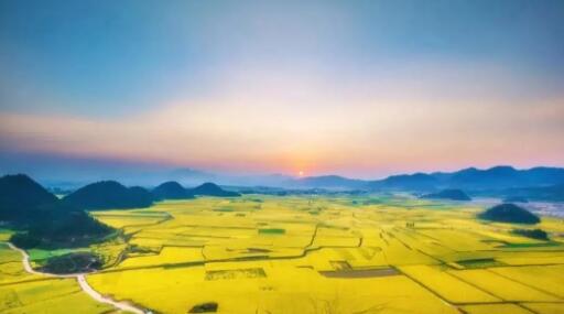 這些手機拍攝技巧不能忽視 出片率100%