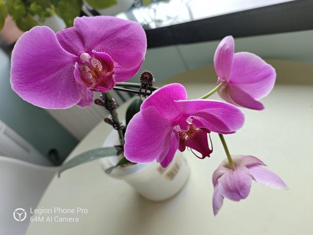 聯(lián)想拯救者電競手機(jī)Pro深度評測 硬核性能強(qiáng)者來襲