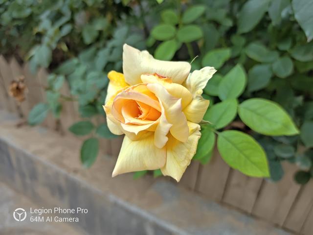 聯(lián)想拯救者電競手機(jī)Pro深度評測 硬核性能強(qiáng)者來襲