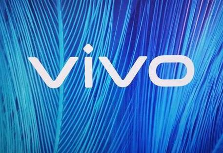 vivo新機揭開神秘面紗：配備驍龍870芯片和FHD+LCD超高刷直屏